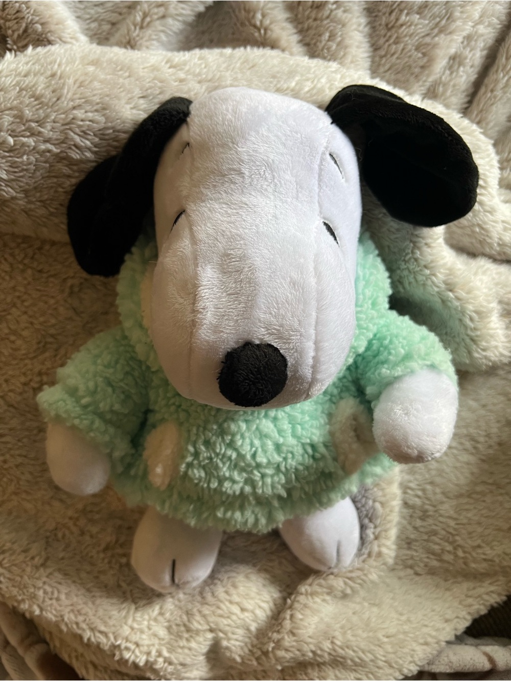 Peanuts Plush Snoopy Dog Plush in Mint Green and Black